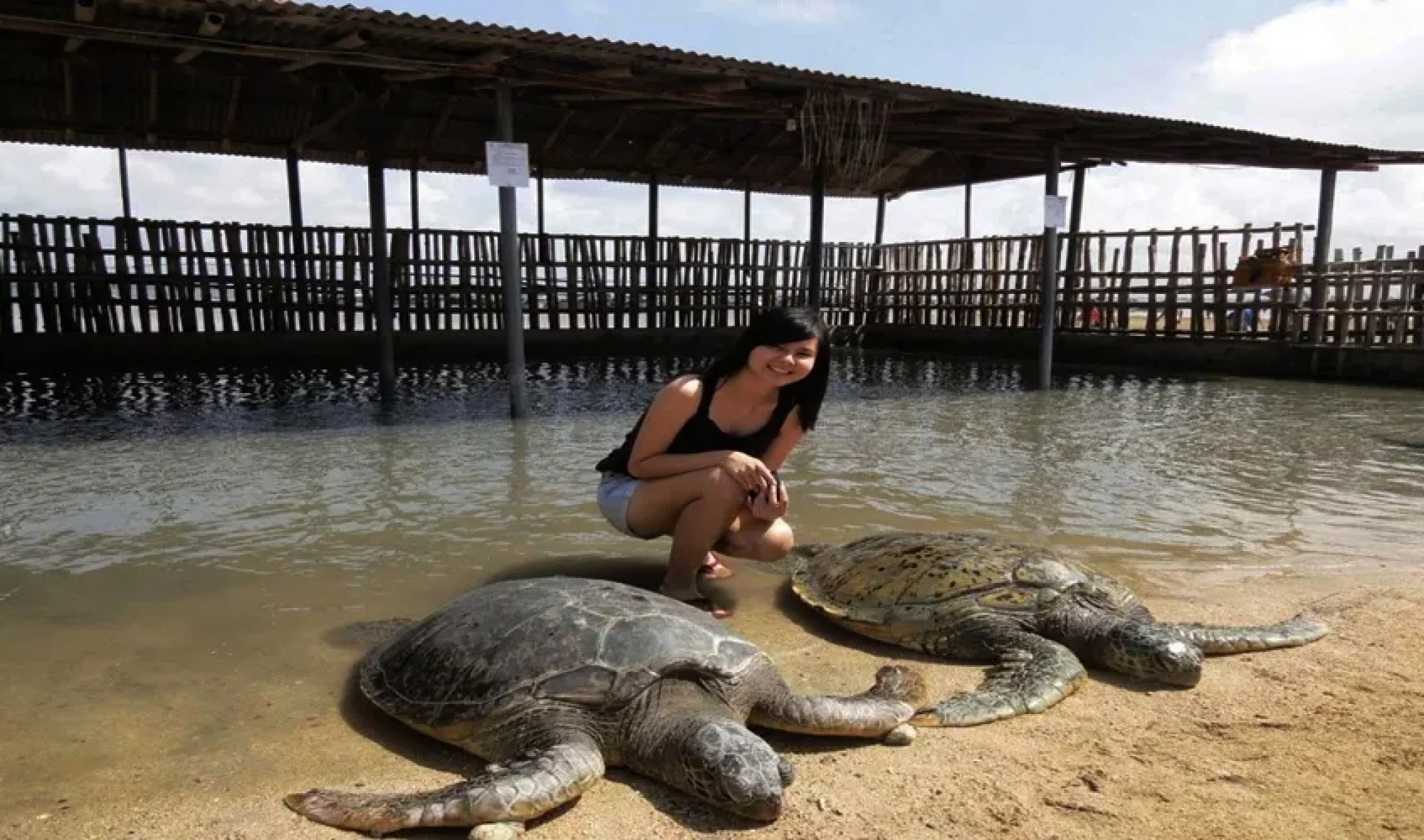 Bali Turtle Island
