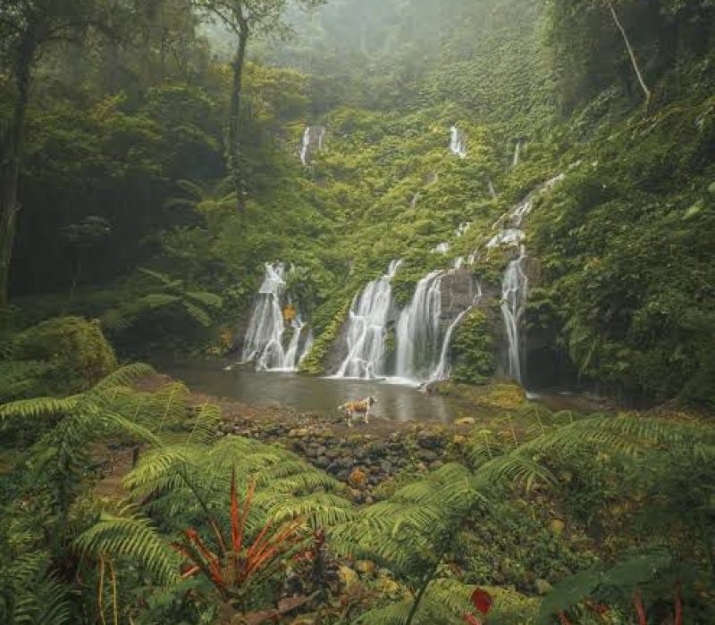 Pucak manik waterfall
