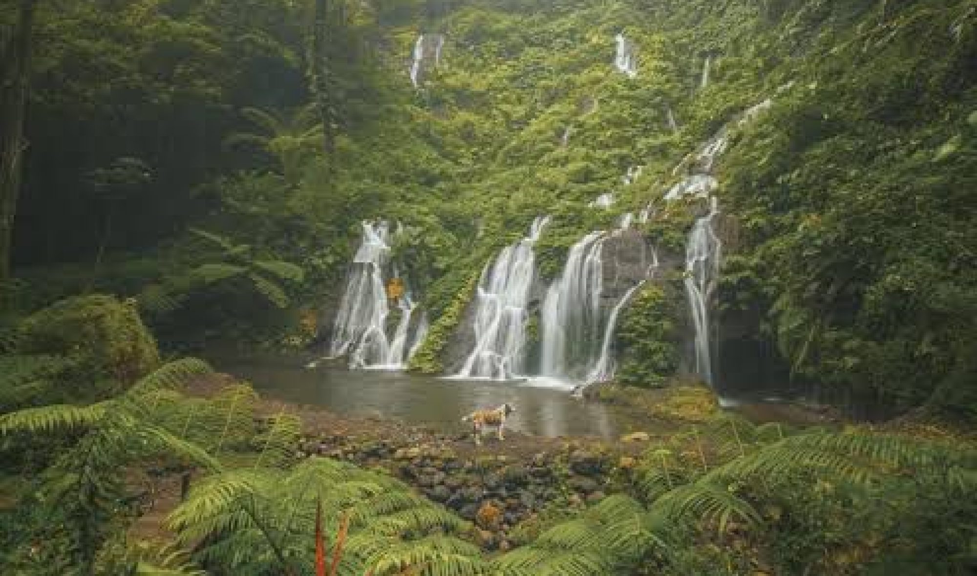 Pucak Manik waterfall