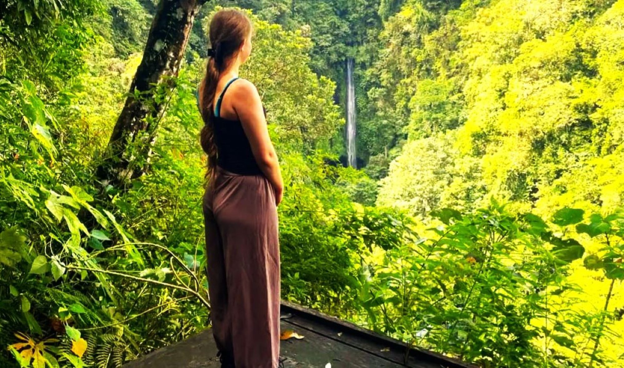waterfall view